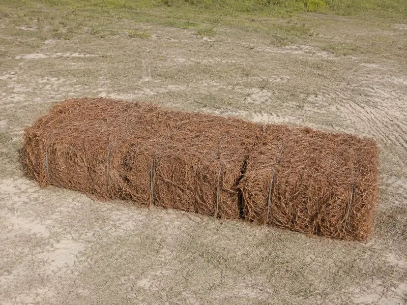 Slash Pinestraw (1–99 bales)