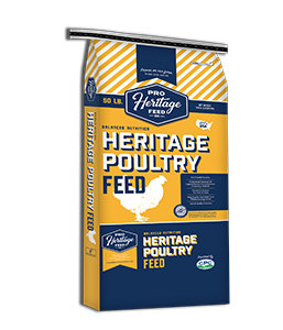 POULTRY FEED