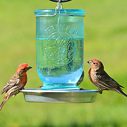 BIRD SUPPLIES