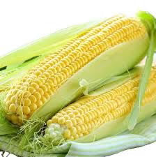 IMPERIAL OP CORN