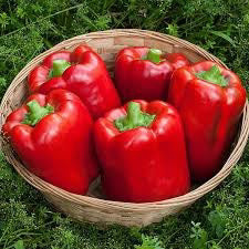 IMPERIAL PEPPER