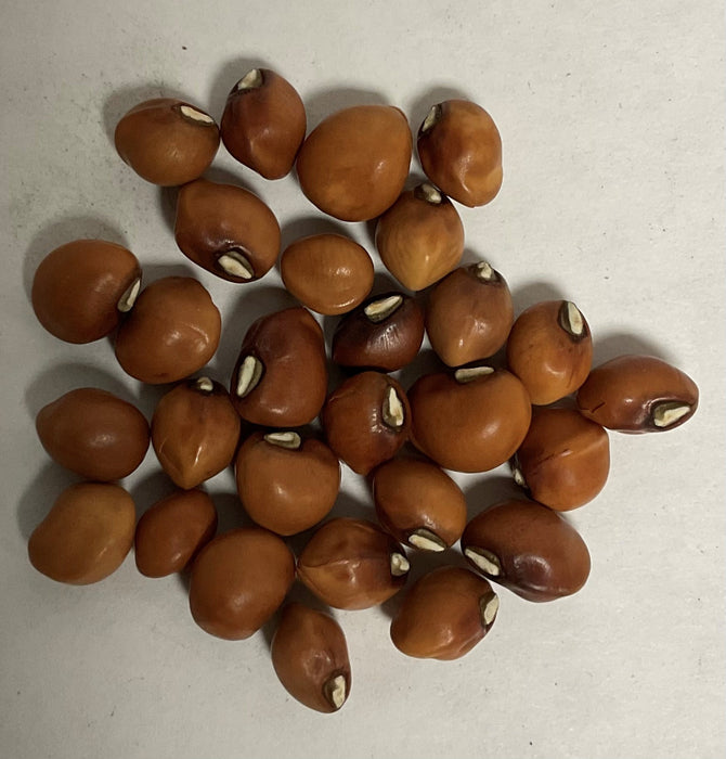 MISSISSIPPI PURPLE PEAS 1/2#