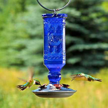 PP 8117-2 HBR BLUE BOTTLE FDR