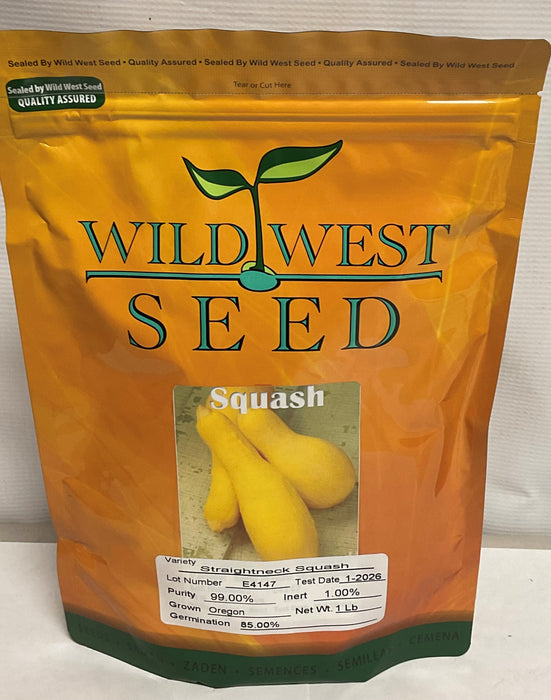 STRAIGHTNECK SQUASH 1#