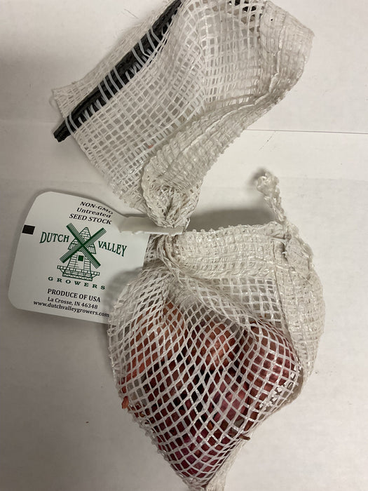 SHALLOT-MULTIPLY ONION 6-PK
