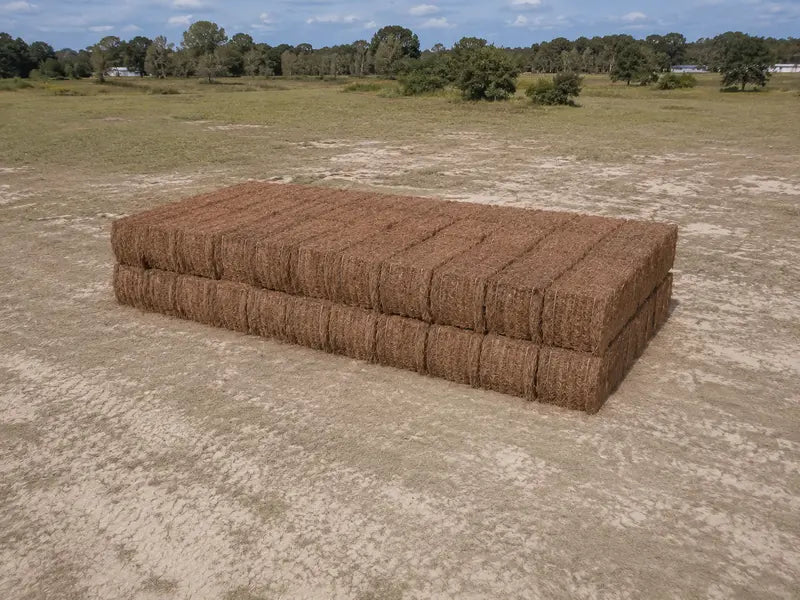 Slash Pinestraw (100+ bales)