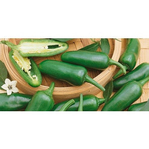 JALAPENO PEPPER .125 GRAM