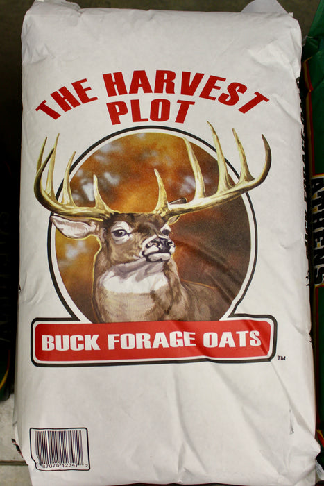 BUCK FORAGE OATS 50#