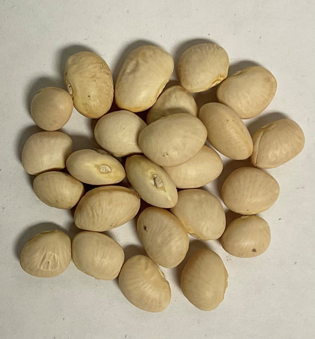 WHITE DIXIE BUTTERPEA 5#