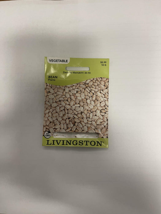 PINTO BEAN 10G