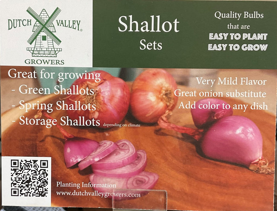 SHALLOT-MULTIPLY ONION 6-PK