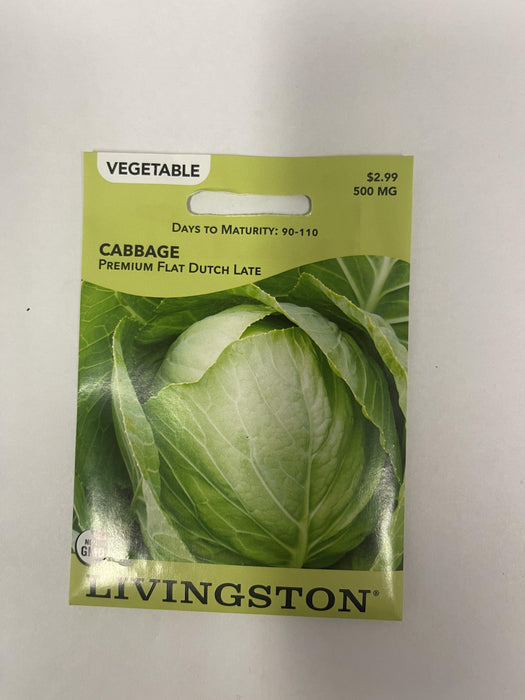 CABBAGE - FLAT DUTCH