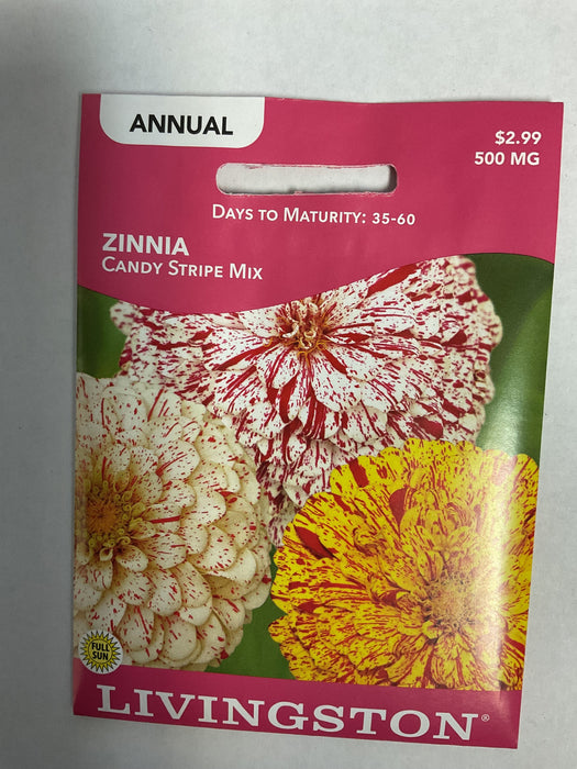 ZINNIA CANDY STRIPE MIX 500MG