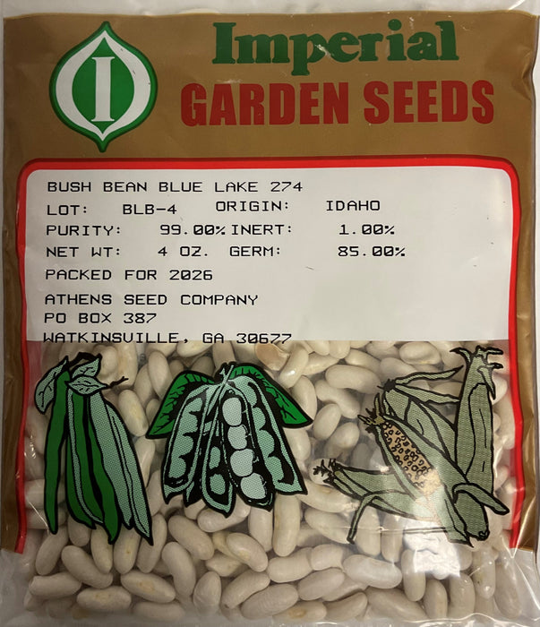 BLUE LAKE BUSH BEAN 1/4#