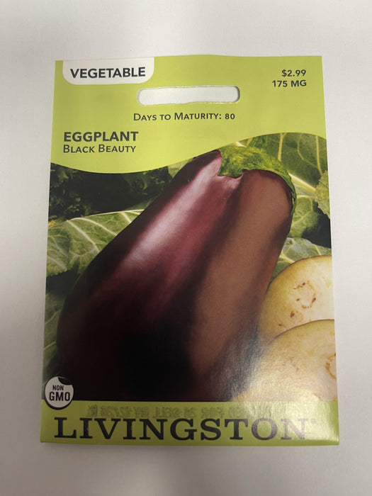 EGGPLANT BLACK BEAUTY