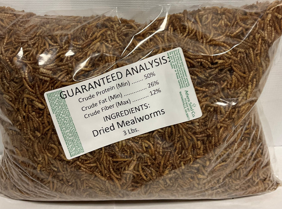 MEALWORMS 3#