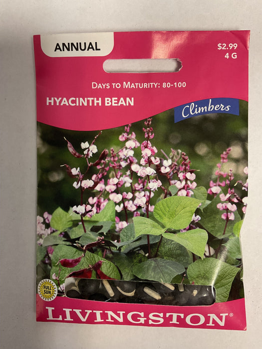 HYACINTH BEAN 4G