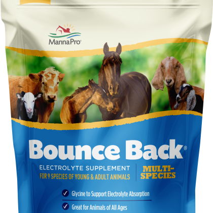 MP BOUNCE BACK ELECTROLYTE 4OZ