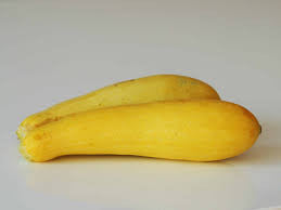 DIXIE HYBRID SQUASH 1.0 GRAM