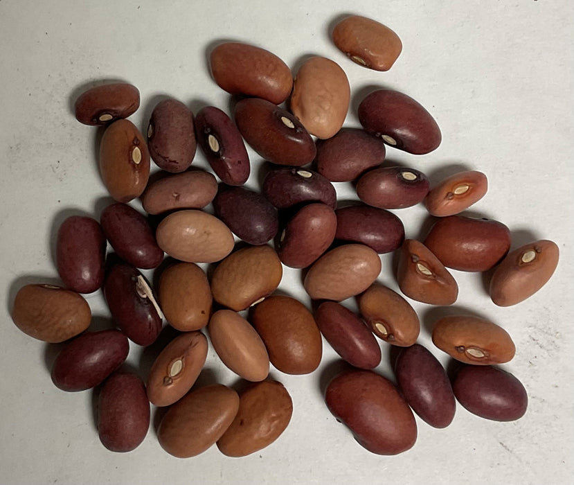 PINK 1/2 RUNNER BEAN 1#