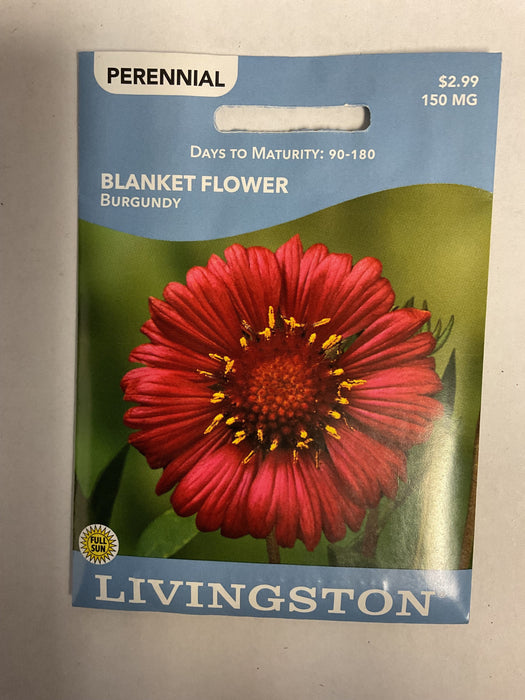 BLANKET FLOWER BURGUNDY