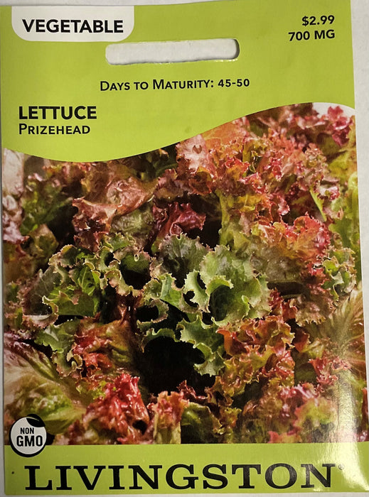 LETTUCE PRIZEHEAD