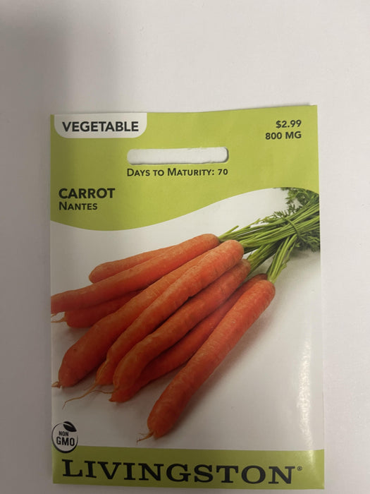 CARROT - NANTES