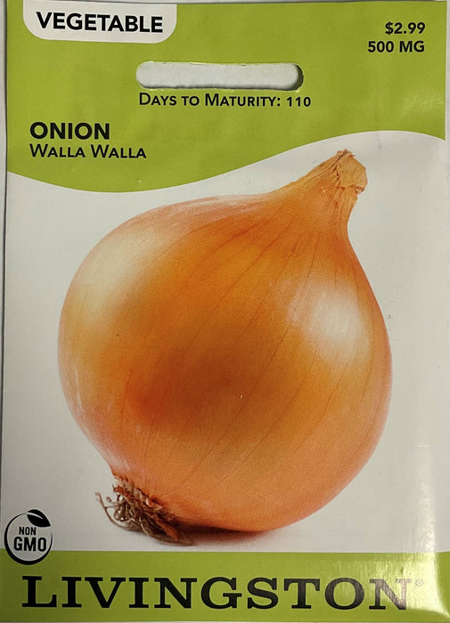 ONION - WALLA WALLA