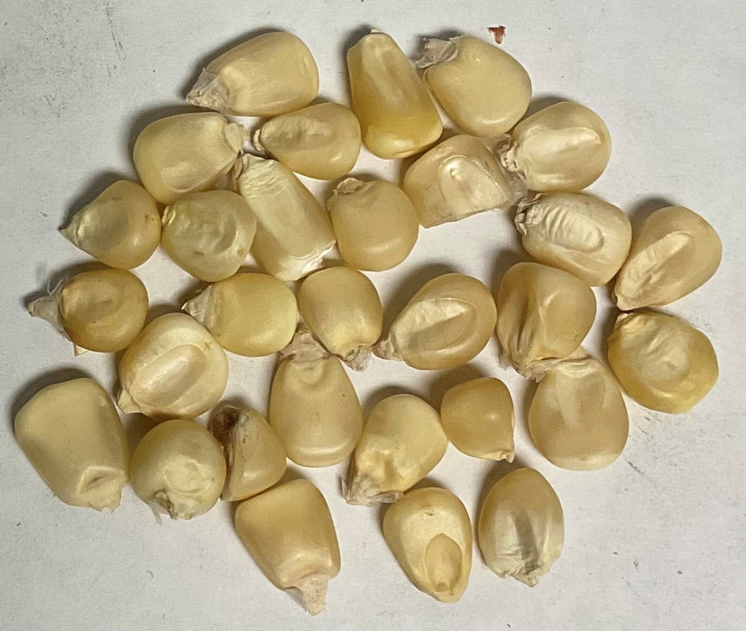 TRUCKER FAVORITE WHITE 50#