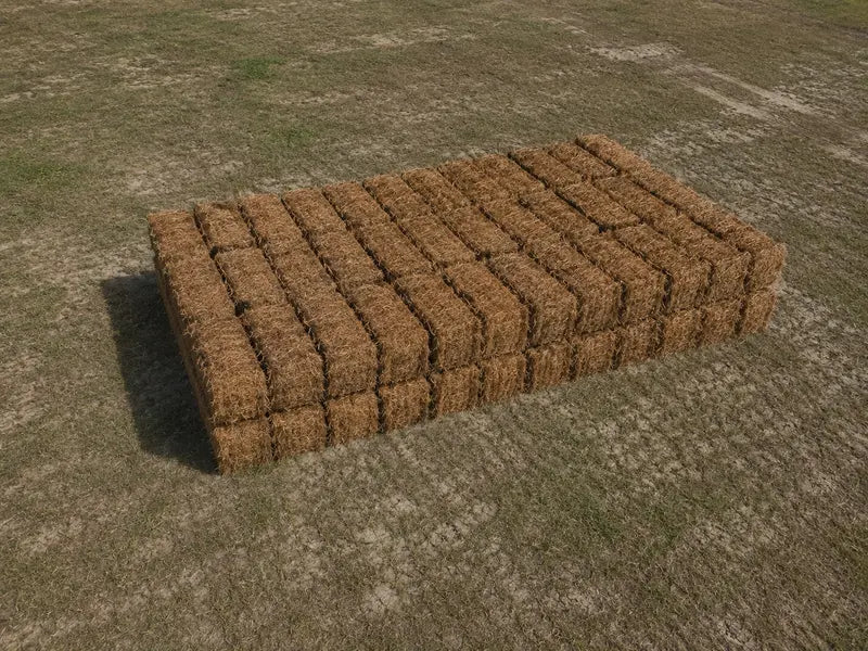 Long Needle Pinestraw (100+ bales)