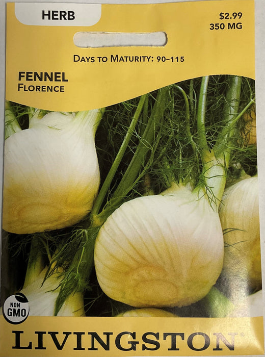 FENNEL - FLORENCE