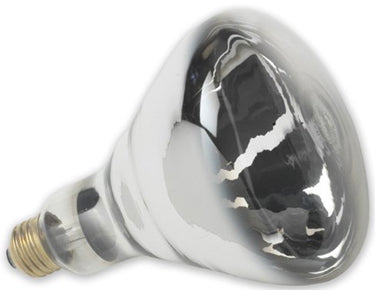 250W HEAT LAMP BULB 17031