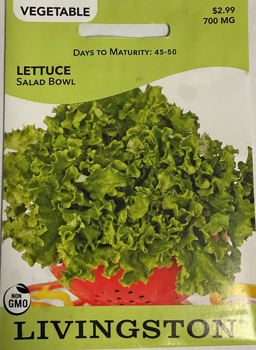 LETTUCE SALAD BOWL