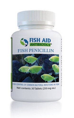 FISH AID FISH PENICILLIN 30EA