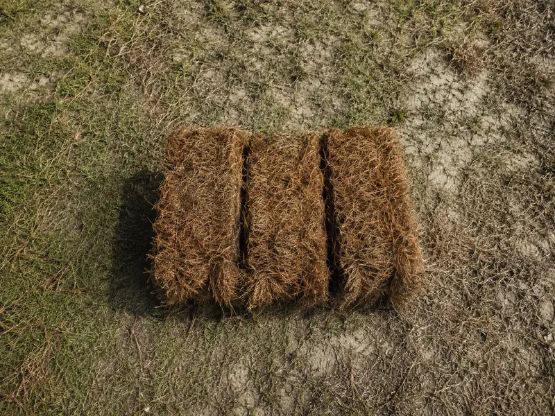 Long Needle Pinestraw (1–99 bales)