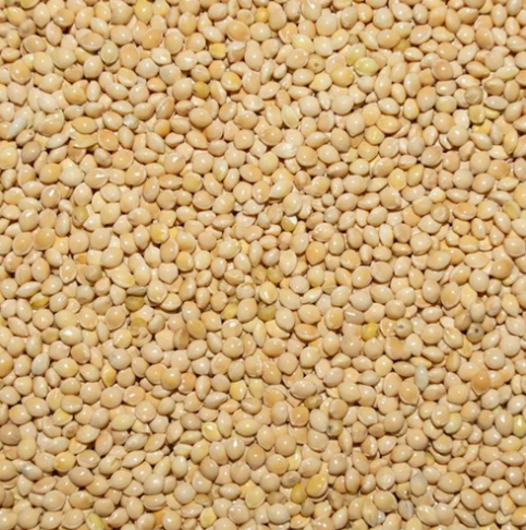 ASC-FEED MILLET WHITE 50#