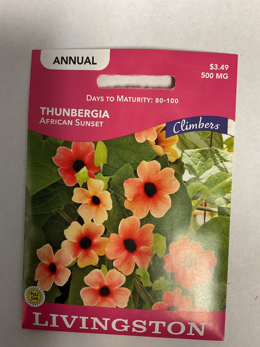 THUNBERGIA ORANGE 500MG