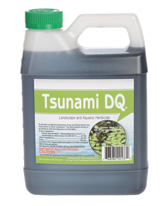 SANCO-TSUNAMI DQ QT