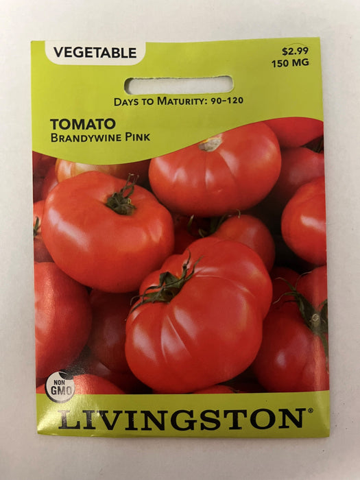 TOMATO BRANDYWINE PINK
