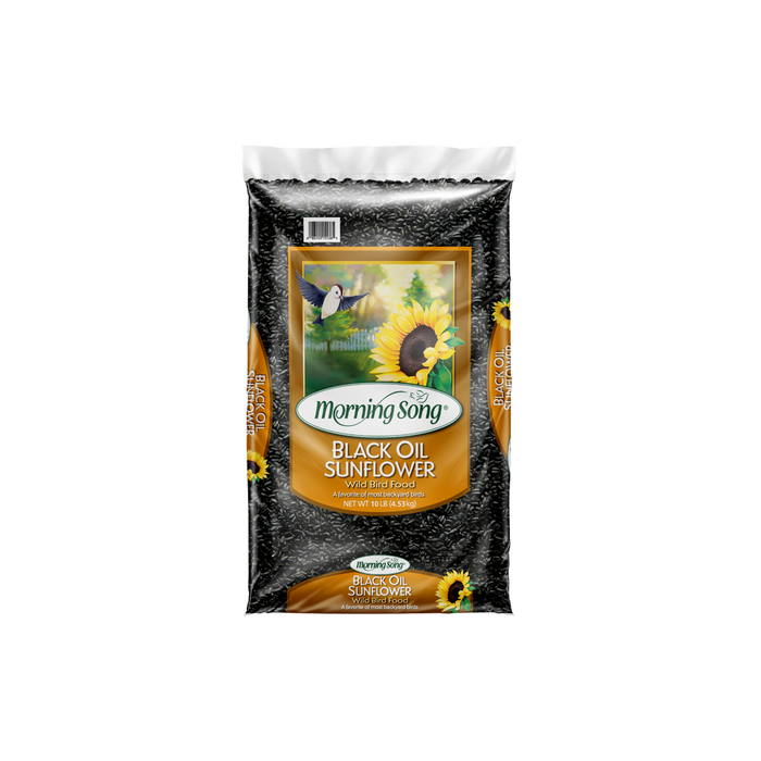 MS-BLACK OIL SUNFLOWER 10#