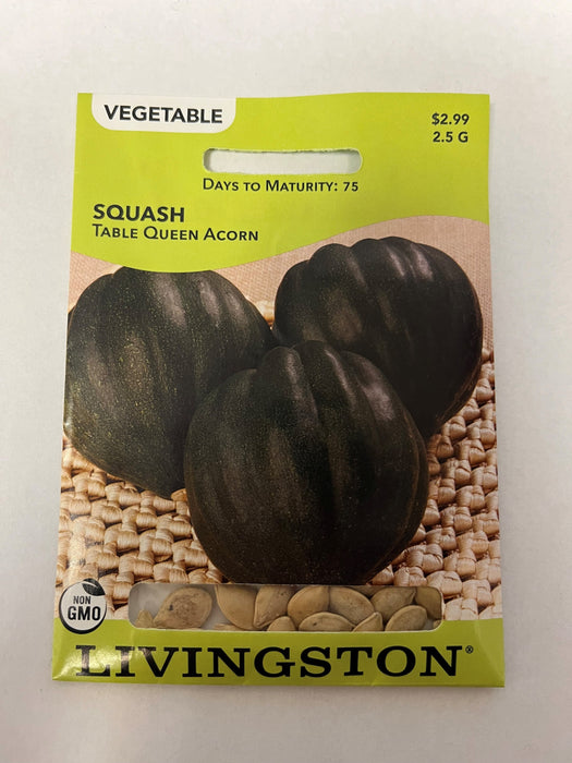 SQUASH TABLE QUEEN ACORN