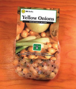 ONION-YELLOW 75-PK