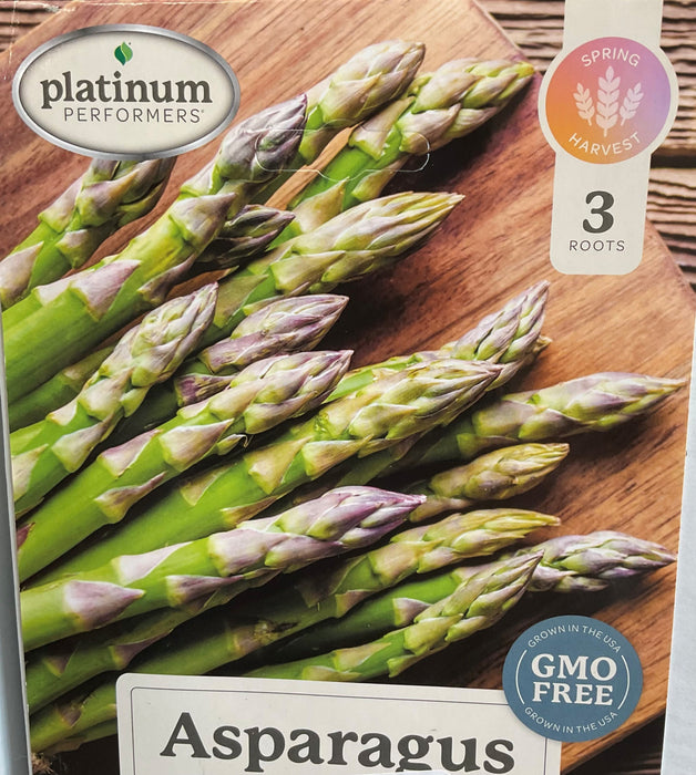 ASPARAGUS-JERSEY GIANT 5-PK