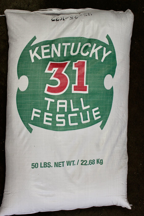 FESCUE-PASTURE KENTUCKY 31 10#
