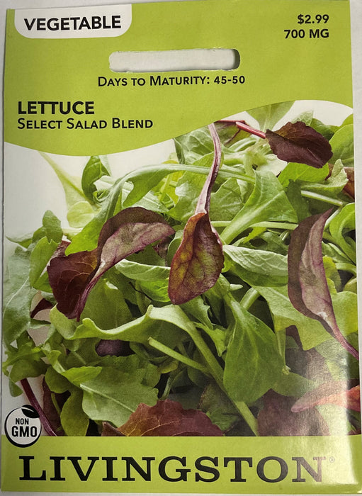 LETTUCE SALAD BLEND