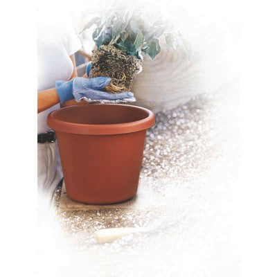BLOEM 6" DURA COTTA PLANTER