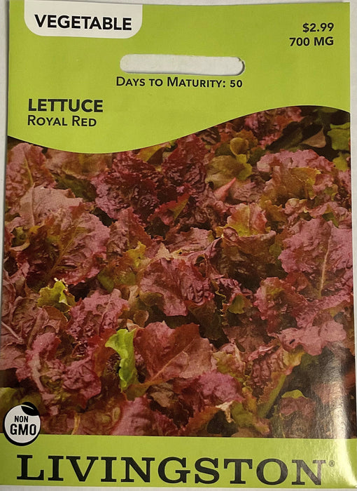 LETTUCE ROYAL RED