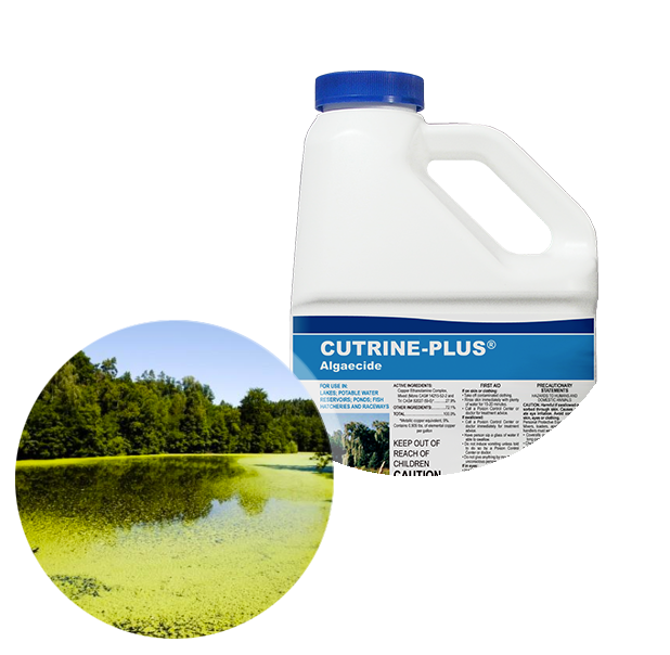 AB-CUTRINE PLUS GAL
