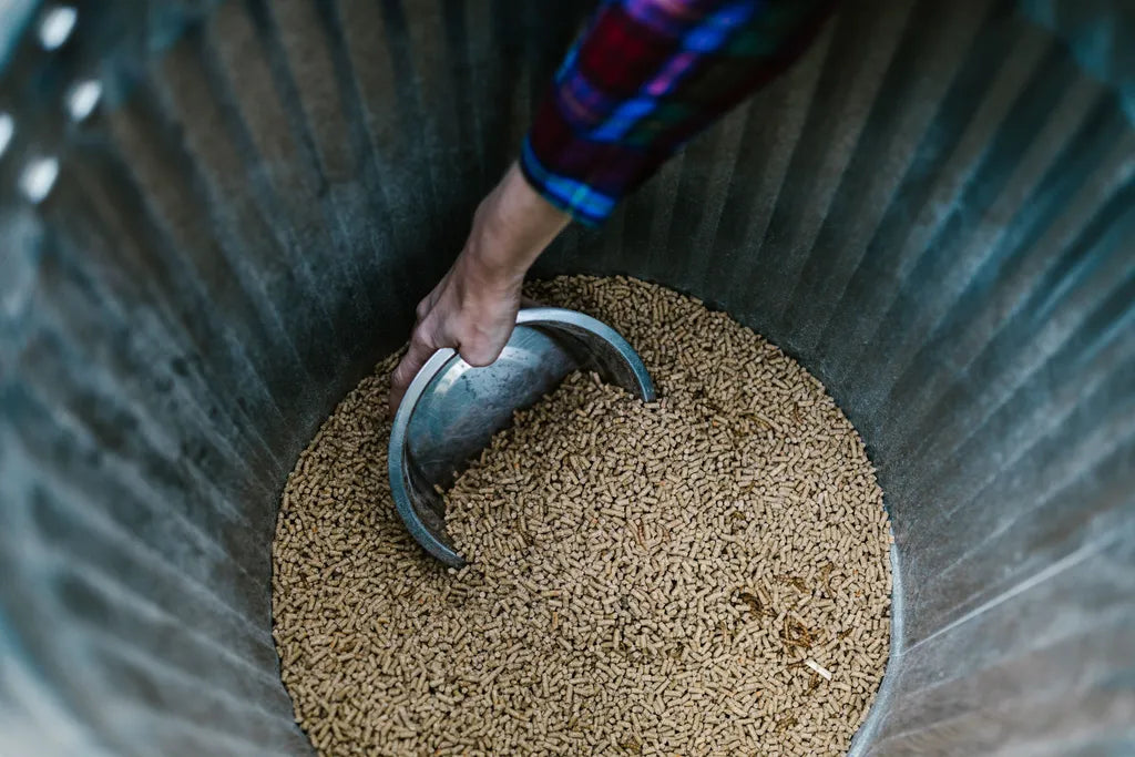 Animal Feed and Supplies