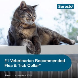 SERESTO FLEA COLLAR CAT